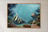 walnut wood framed angel fish original painting wall art print